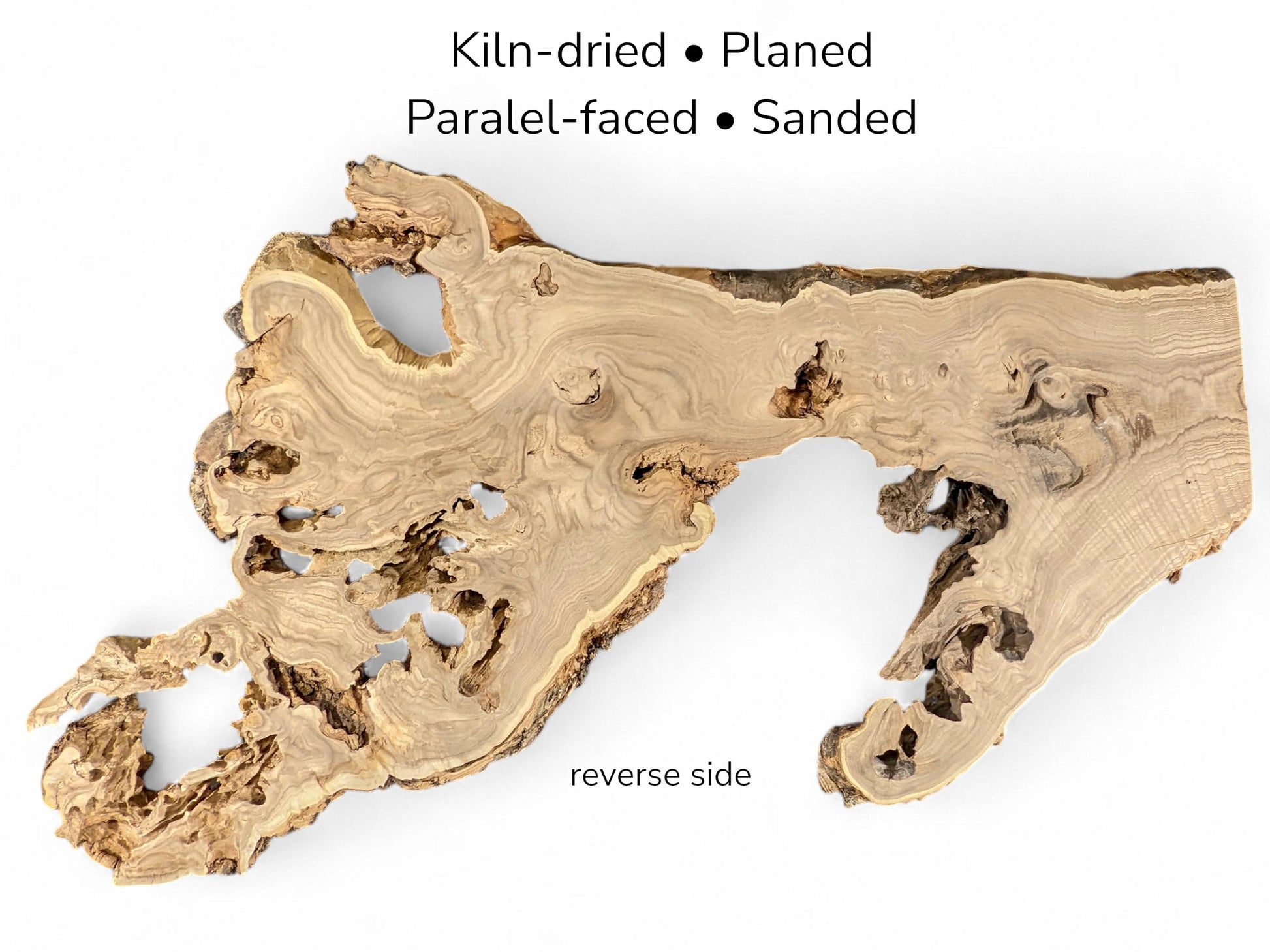 Pale, knotted wood slice with extensive natural voids and jagged edges, labeled as the reverse side.