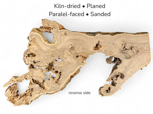 Pale, knotted wood slice with extensive natural voids and jagged edges, labeled as the reverse side.
