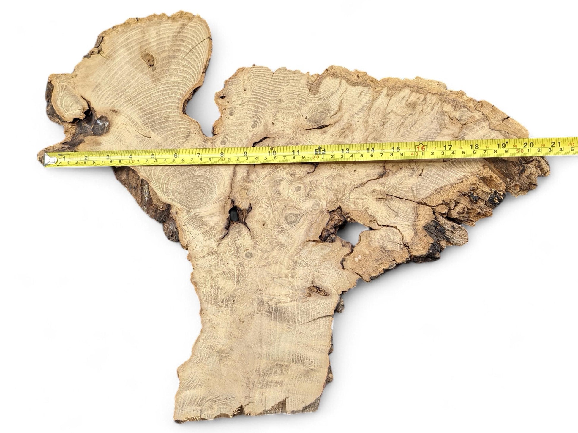 An irregular light brown wood slice shows intricate grain, burls, dark voids, and a yellow tape measure.