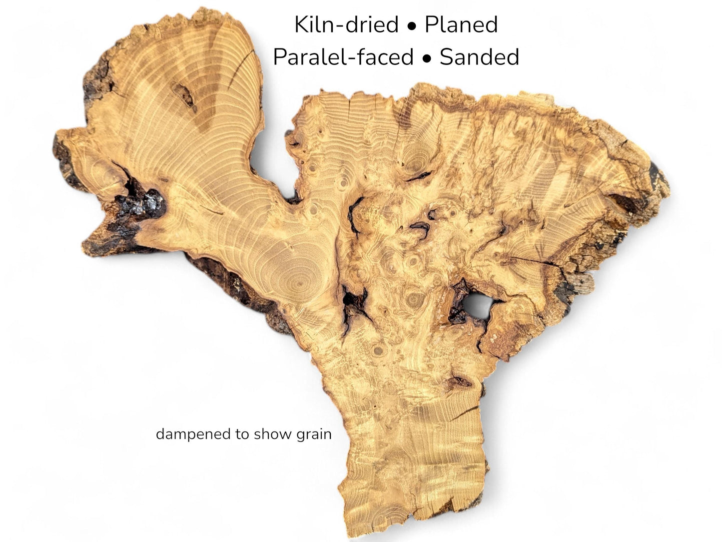 Irregular Y-shaped golden wood slab showing distinct grain rings, dark knots, and rough bark on white.