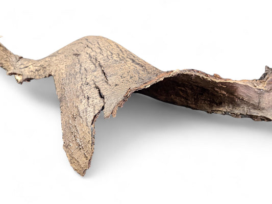 An elongated, curved piece of natural wood bark, light brown with dark fibrous textures, on white.