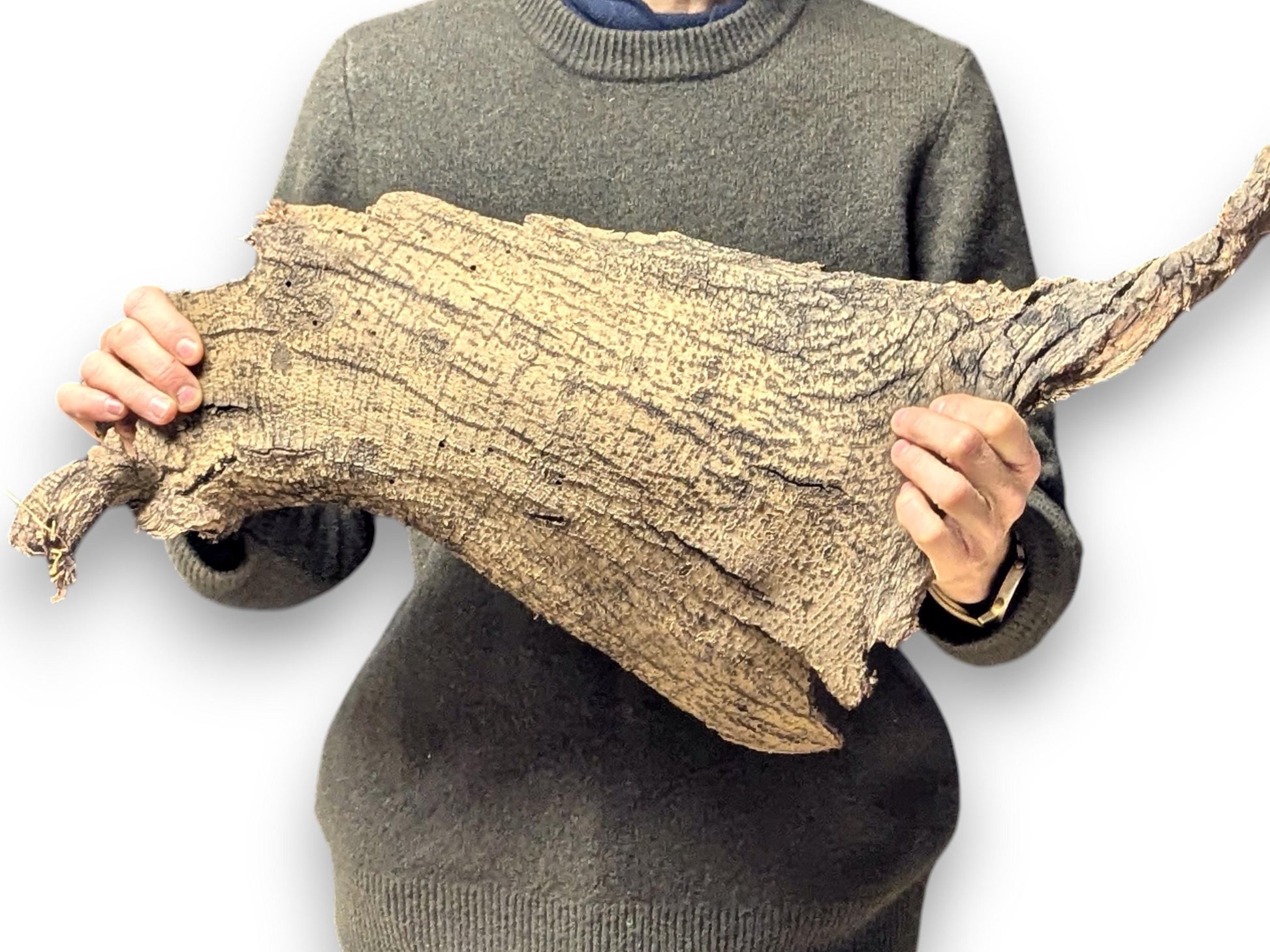 Person holds large, irregular light brown wood bark with textured surface, dark fibers, and small holes.