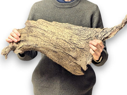 Person holds large, irregular light brown wood bark with textured surface, dark fibers, and small holes.