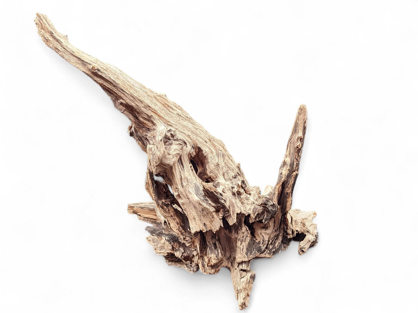 Elongated, gnarled light brown driftwood with a rough, weathered texture and intricate pointed sections.