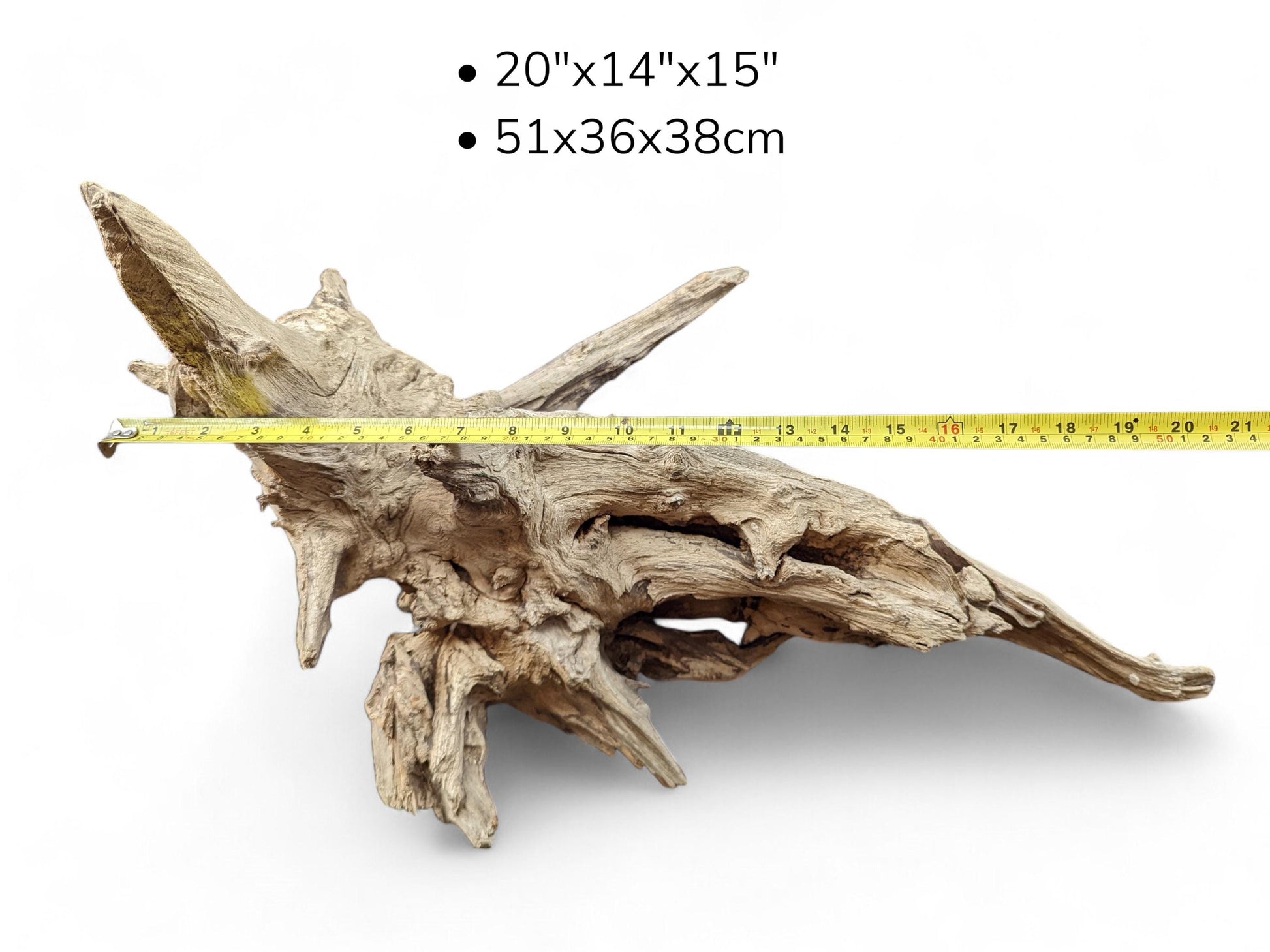 Image featuring a large, light brown driftwood piece with rough texture, yellow measuring tape, and text dimensions.