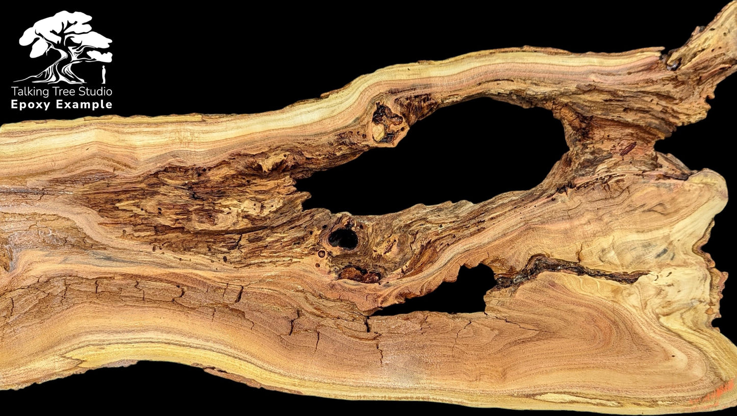 Horizontal honey locust root slice with large central void and text "Epoxy Example" on black background.