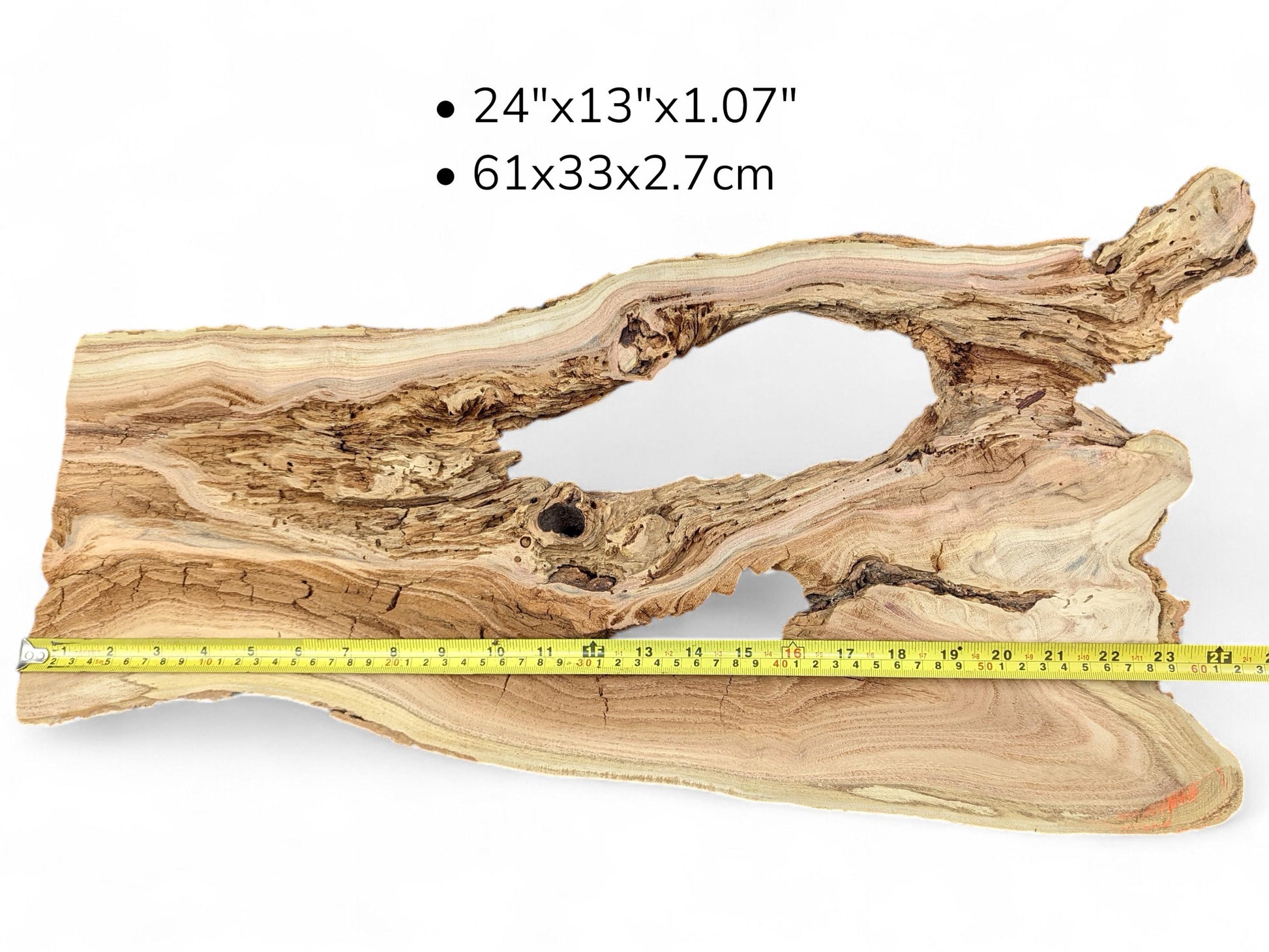 Live edge honey locust root slice, irregular, with wavy grain, large central void, and shown measurements.
