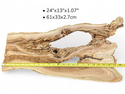 Live edge honey locust root slice, irregular, with wavy grain, large central void, and shown measurements.