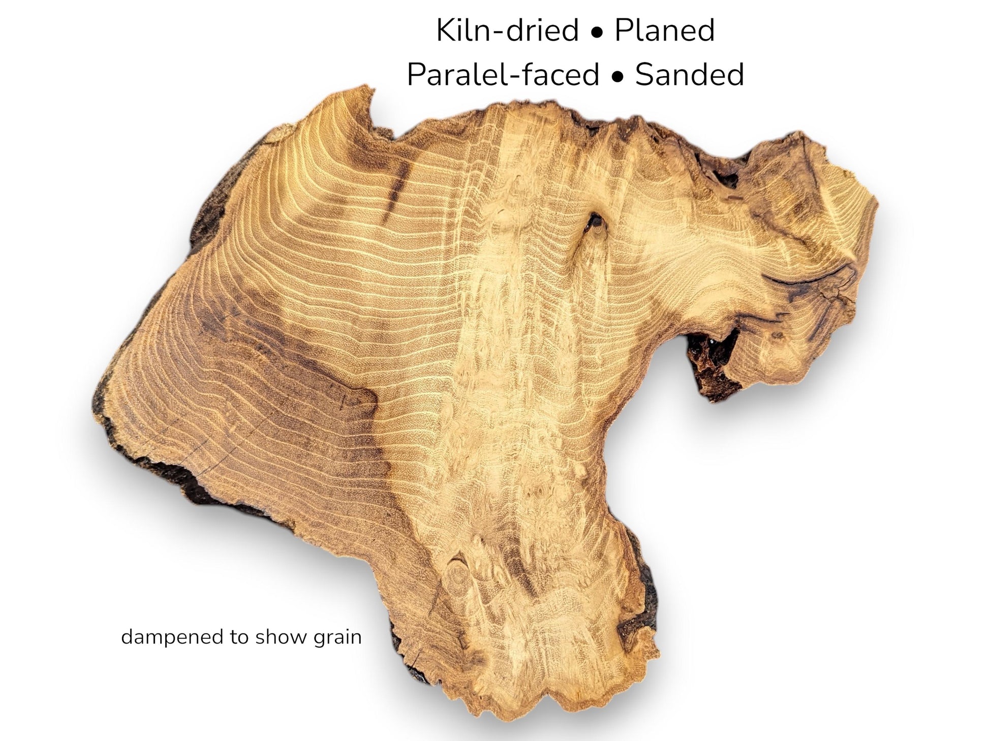 Image with text details showing irregular wood slice with visible grain rings and rough dark edges.