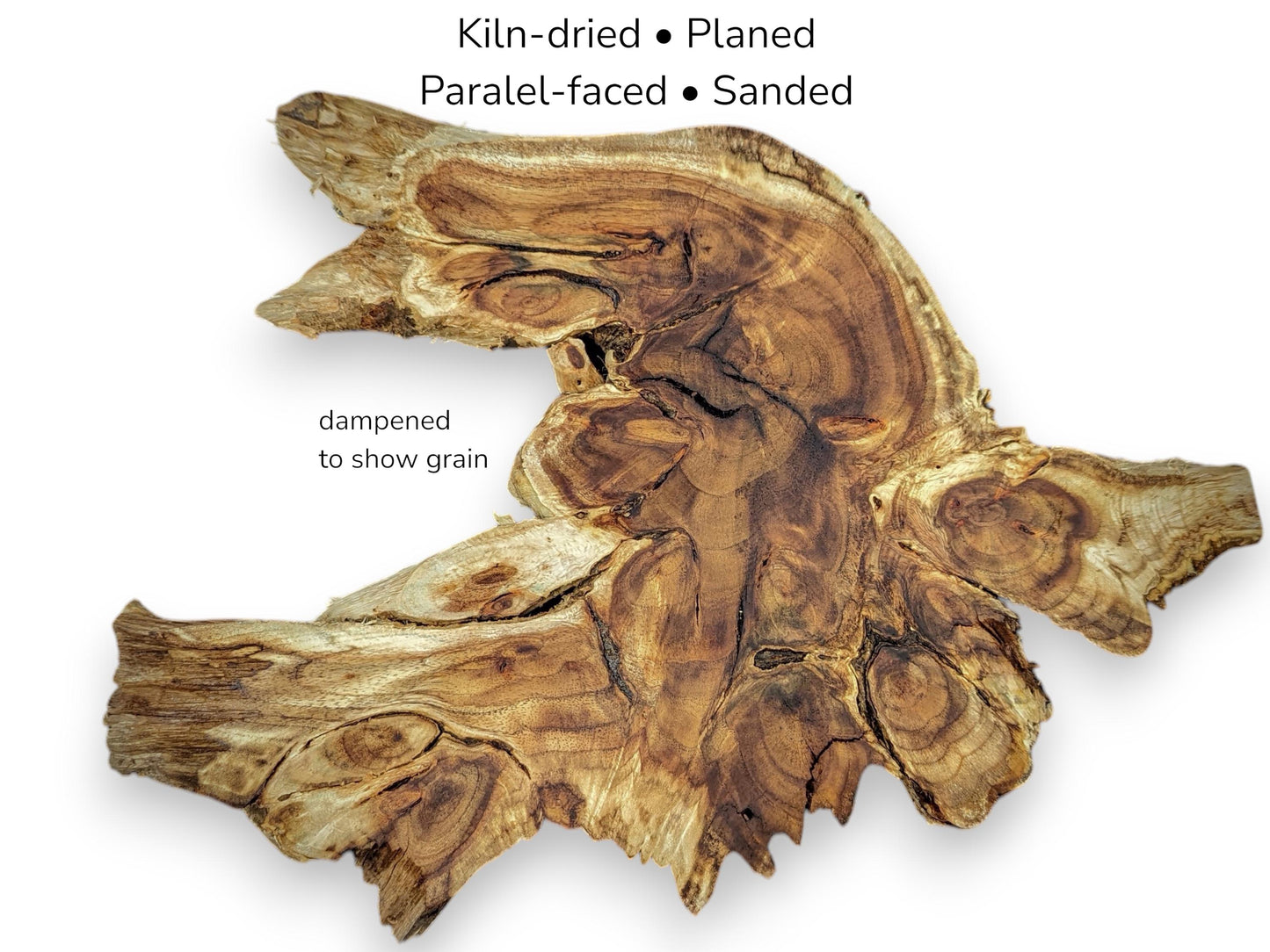 Irregular wood root slice with dark grain patterns and text listing kiln-dried, planed, and sanded specifications.