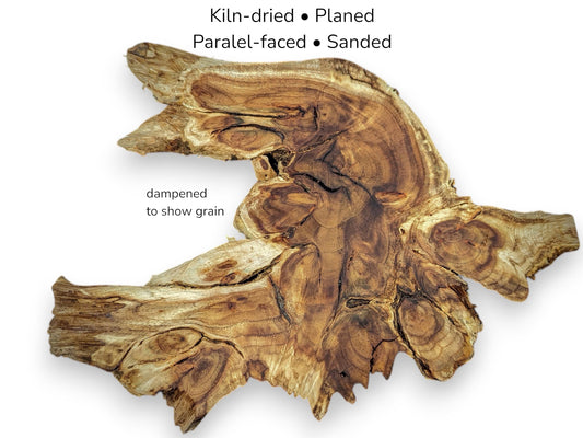 Irregular wood root slice with dark grain patterns and text listing kiln-dried, planed, and sanded specifications.