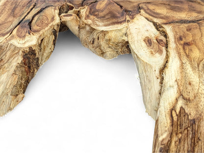 Live edge hard wood root slice featuring light and dark brown colors, complex grain patterns, and natural texture.