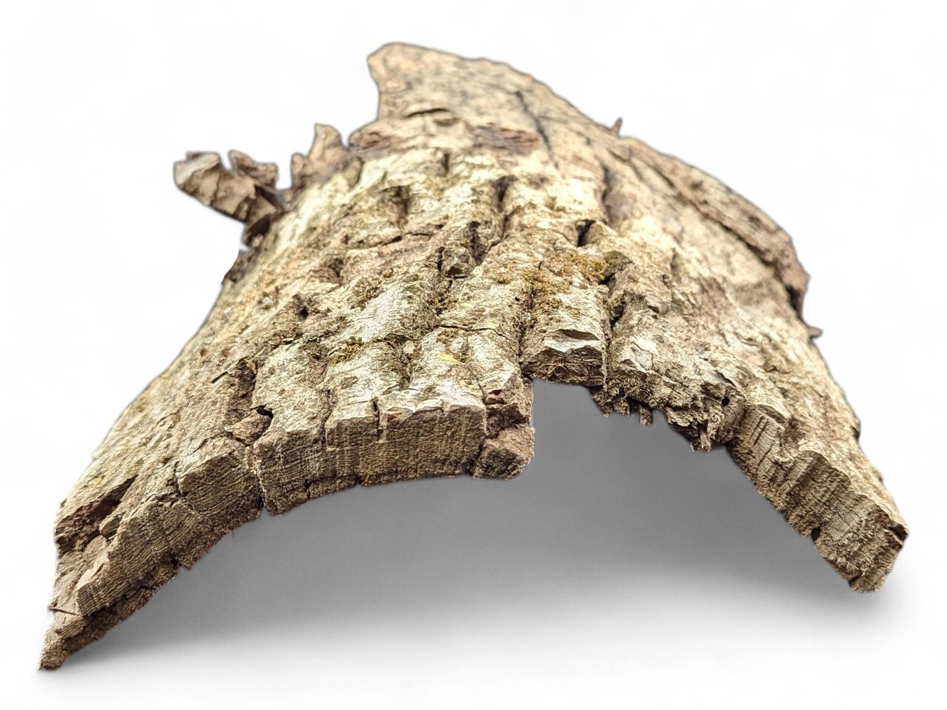 An untreated, irregularly shaped piece of natural wood bark displaying a rough, fissured brown and grey texture.