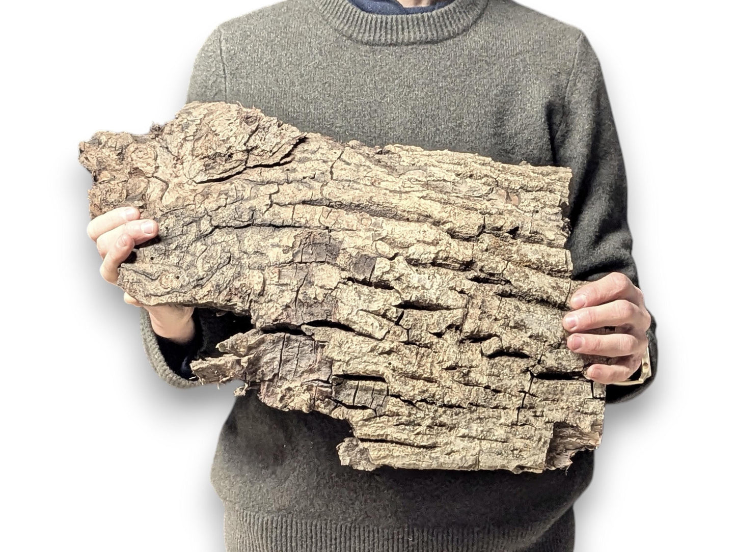 Large, irregular wood bark piece with deeply fissured brown and grey surface, held by a person.