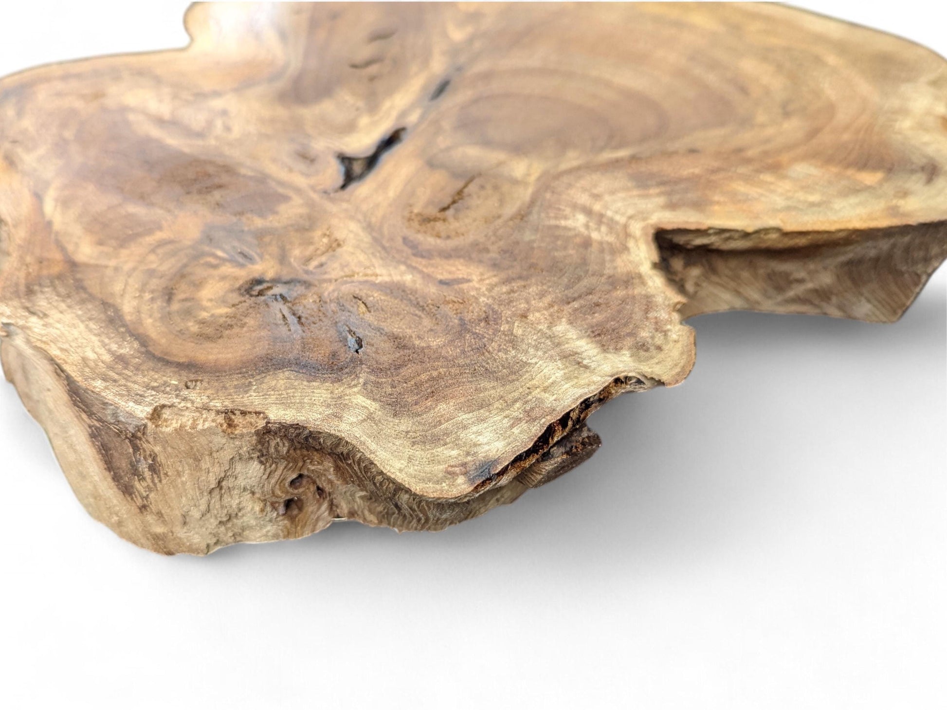 Irregular live edge English walnut root slice displays natural light and dark brown swirling grain. White background.