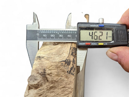 A digital caliper measures the 46.21 mm thickness of a textured light brown English walnut root slice.