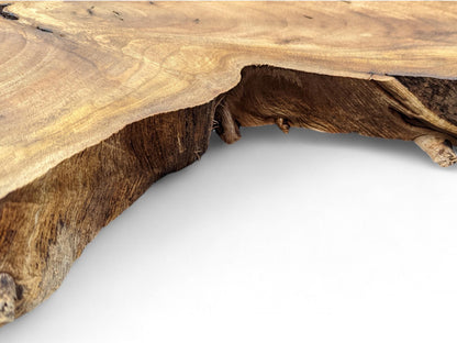Light brown English walnut root slice features an irregular, dark brown, fibrous live edge.