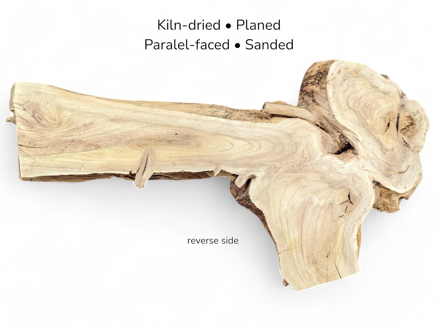 A graphic showing an irregular, light-colored walnut root slice with text detailing processing and "reverse side."