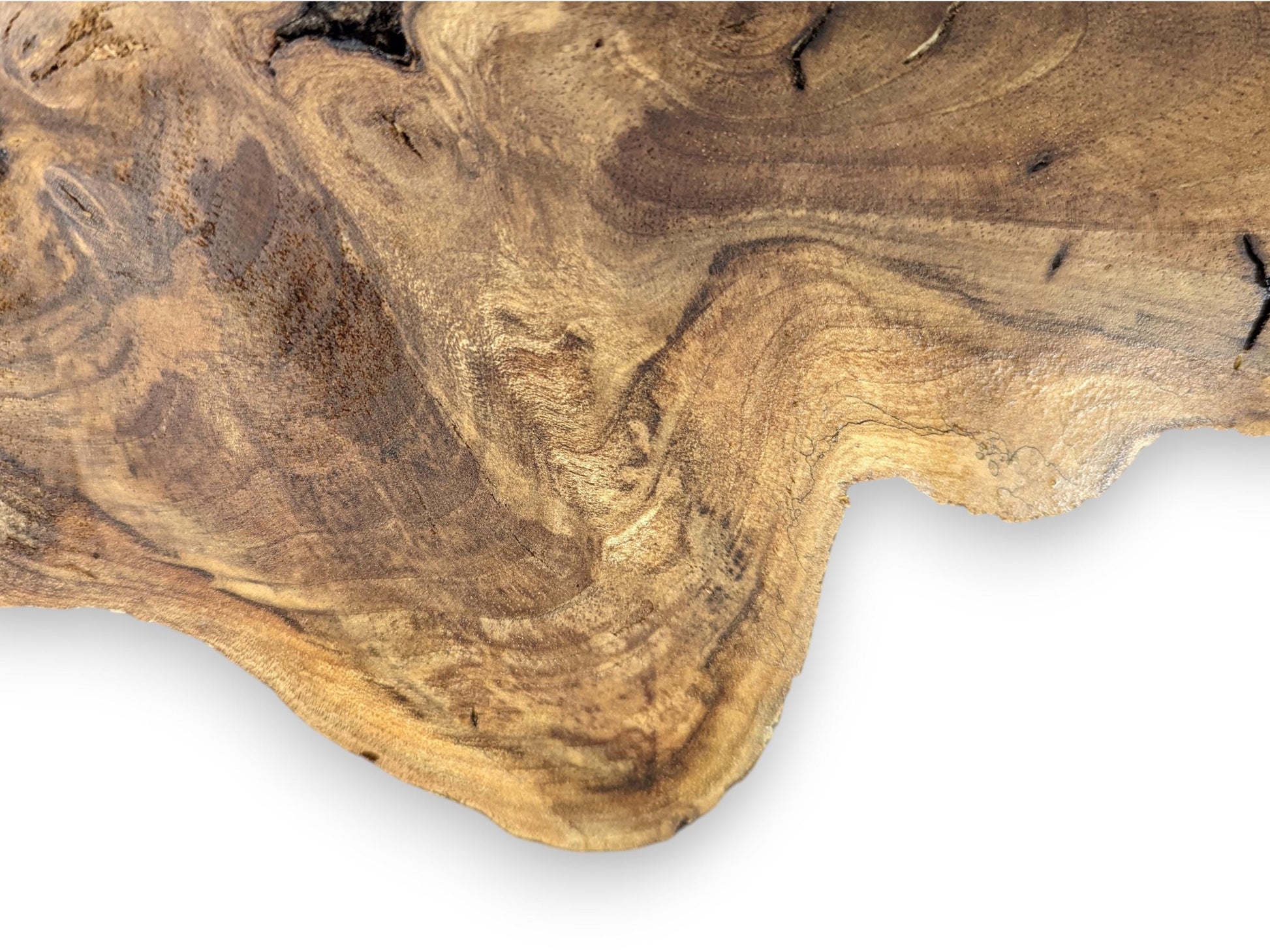Textured English walnut root slice displays natural, irregular shape with prominent, swirling light and dark brown grain.