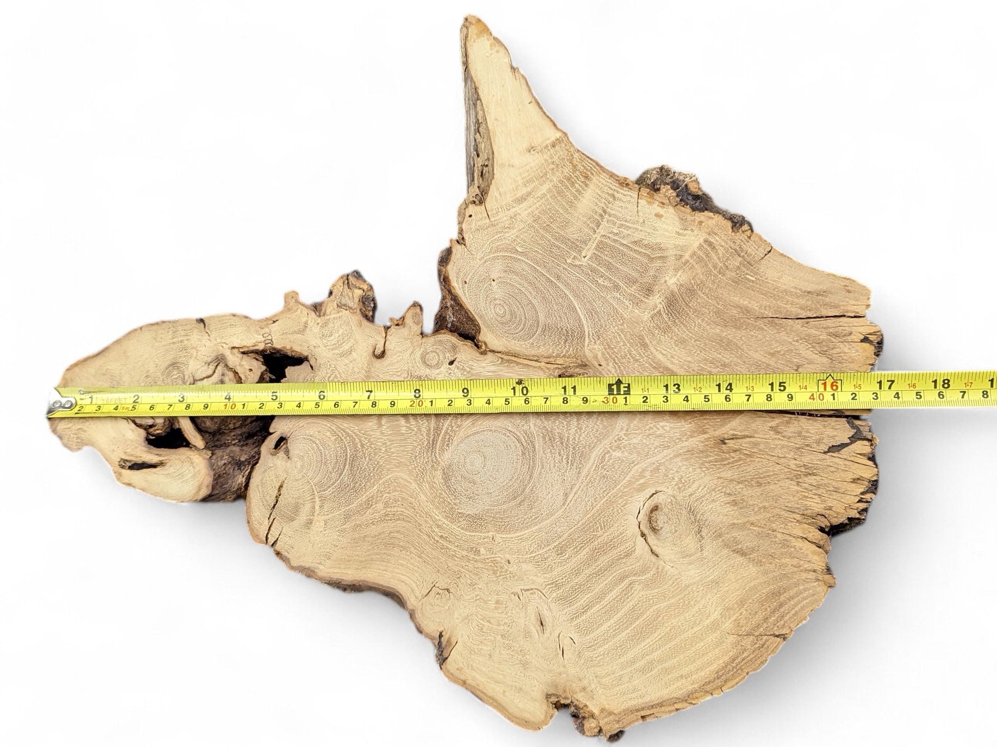 Organic-shaped light brown wood slice with prominent swirling grain, rough edges, and a measuring tape.