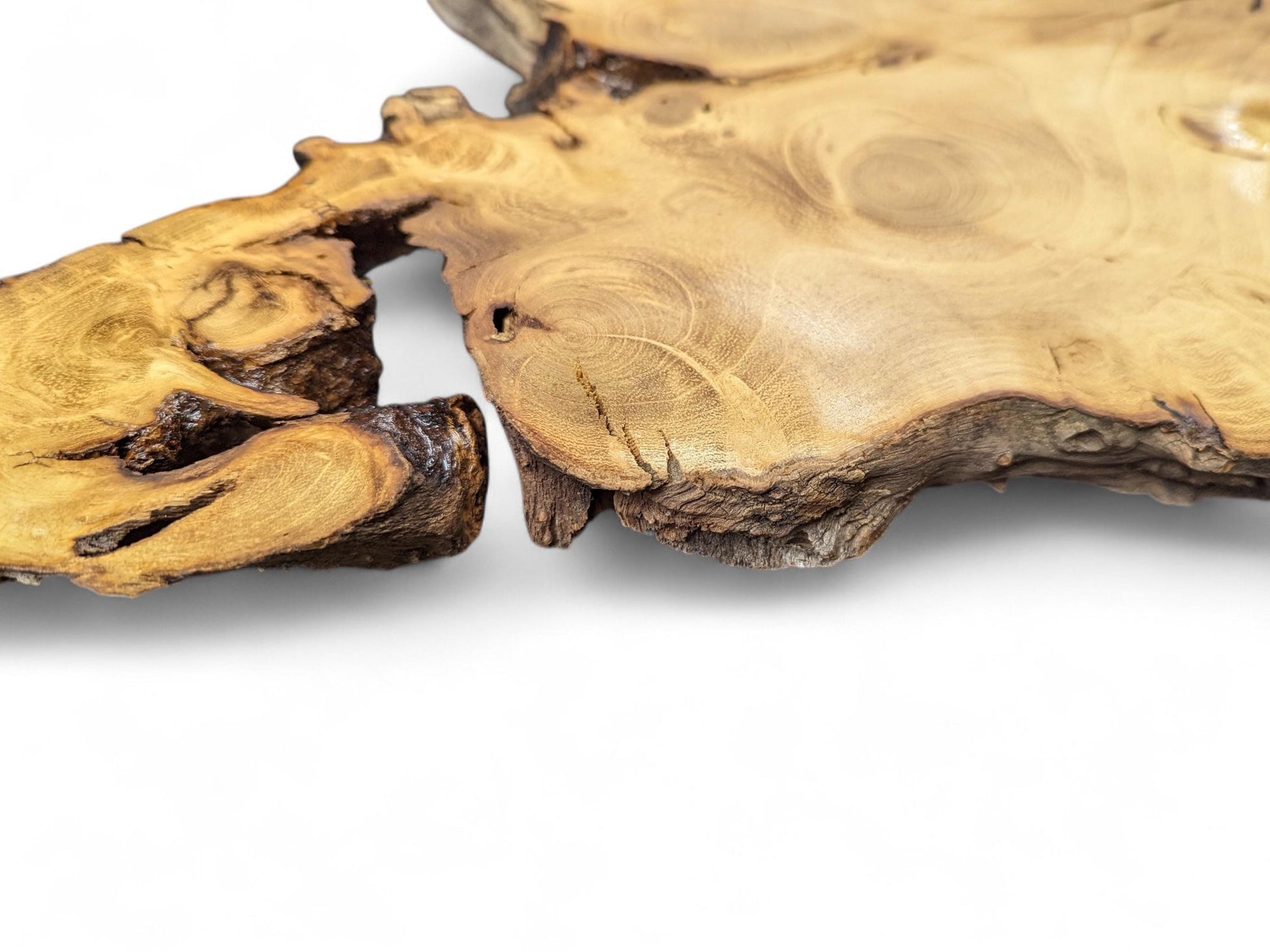Light brown black locust root wood slice showing a central split, prominent grain, and rough live edges.