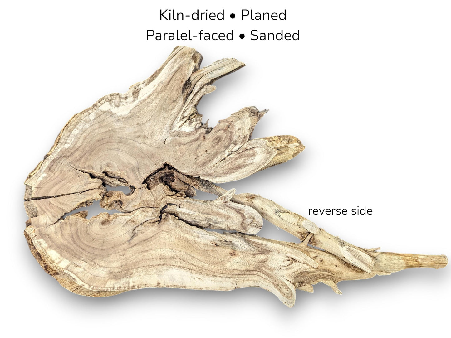 Image with text overlay displays an irregularly shaped, light brown, live edge wood root slice.