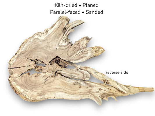 Image with text overlay displays an irregularly shaped, light brown, live edge wood root slice.