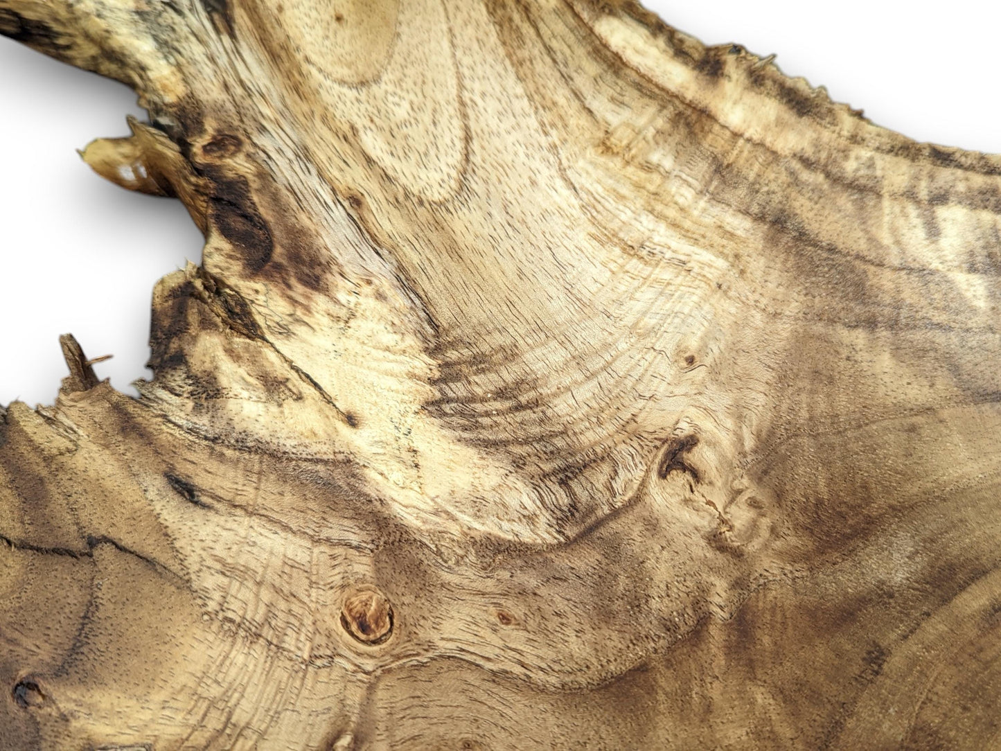 Close-up of an irregular light brown live edge wood slice with natural dark grain patterns and knots.