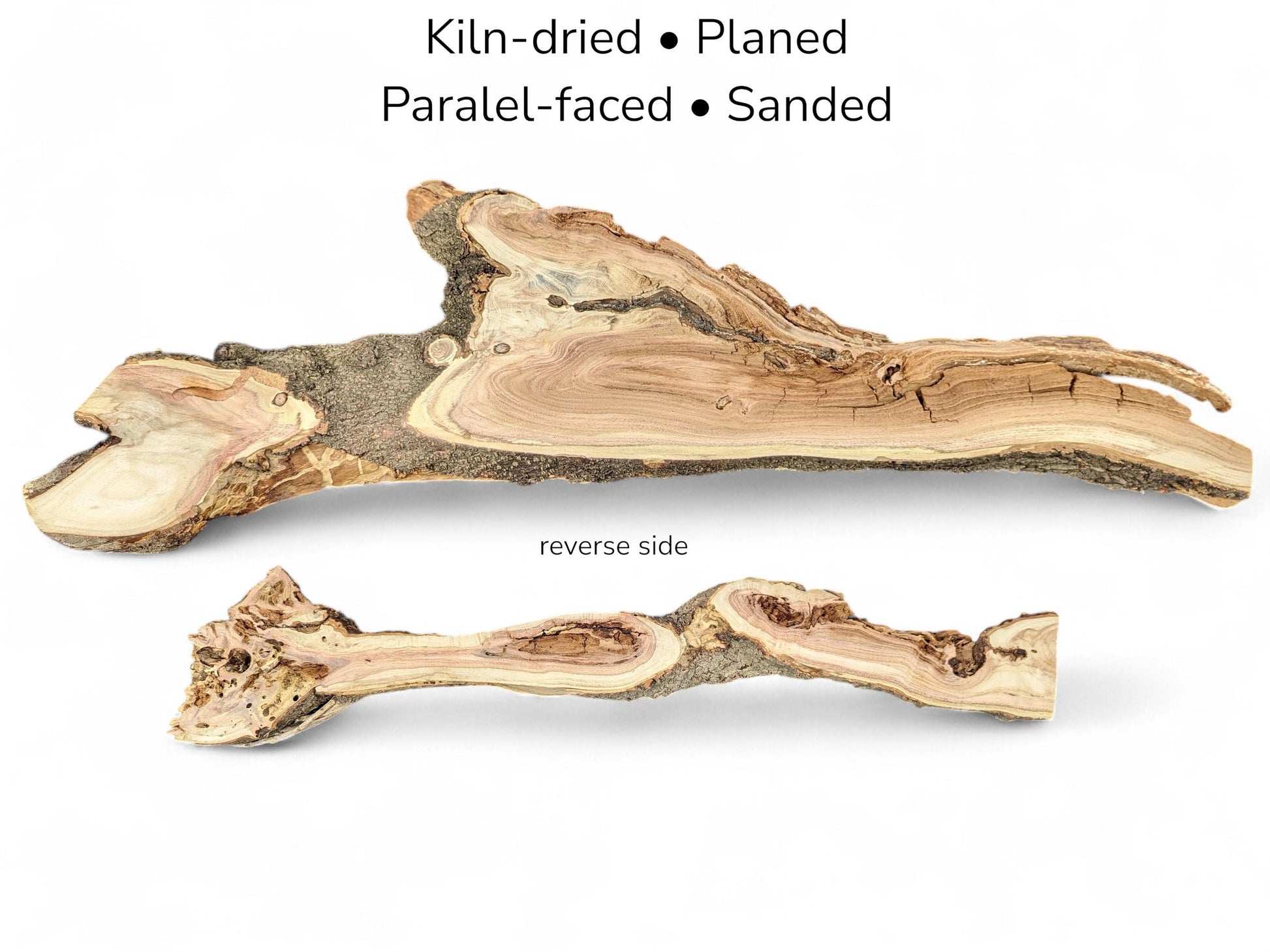 Two elongated, irregular wood slices with bark edges and text overlay indicating kiln-dried and sanded status.