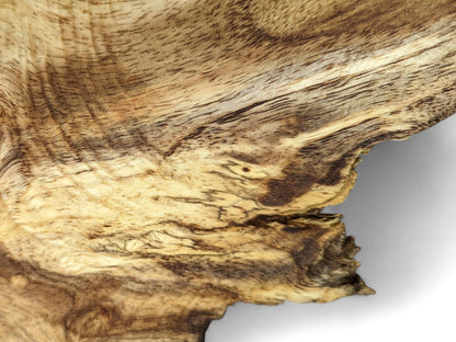 Detailed view of a light and dark brown wood root slice showing intricate swirling grain and organic texture.