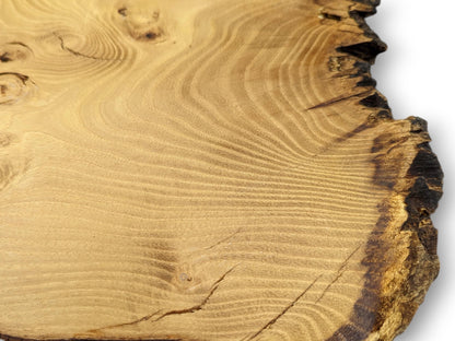 Light brown black locust wood slice with wavy grain, a crack, burls, and dark rough live edge.