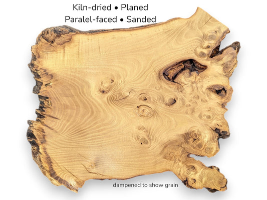 An irregular live edge Black Locust wood slice, light brown with burls. Overlay text describes its preparation.