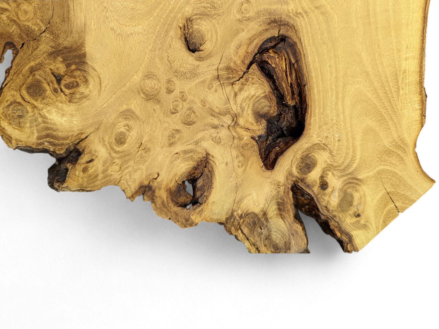 Golden-brown wood slice featuring intricate swirling grain, multiple burls, a dark void, and irregular live edge.