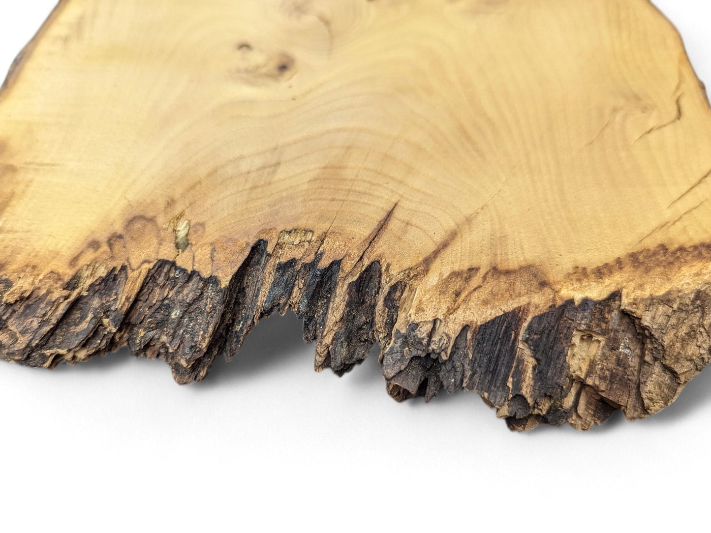 An irregular black locust wood slice features a smooth light brown surface and a jagged, dark brown live edge.