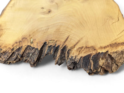 An irregular black locust wood slice features a smooth light brown surface and a jagged, dark brown live edge.