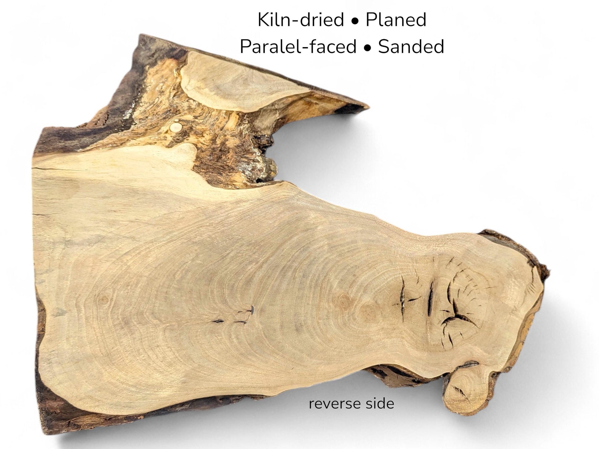 Sanded walnut root slice featuring light beige grain, dark bark edges, and text specifying processing details.
