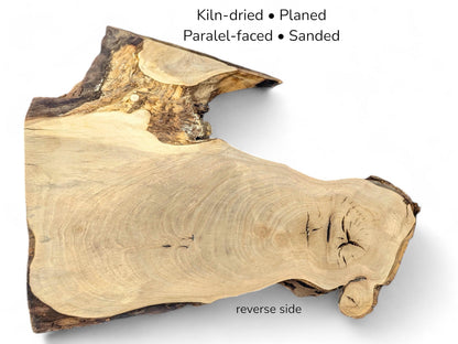 Sanded walnut root slice featuring light beige grain, dark bark edges, and text specifying processing details.