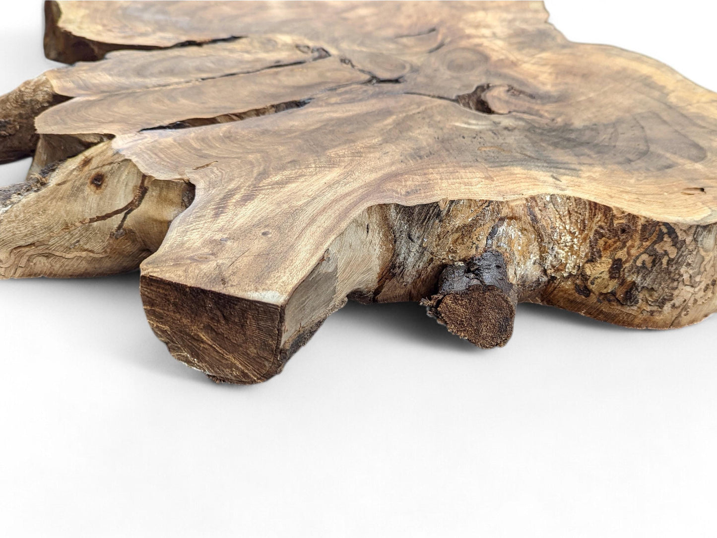 Organic English walnut root slice featuring light and dark brown tones, visible cracks, and rugged live edges.