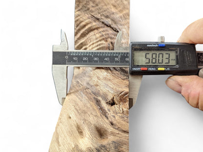 A digital caliper measures a light brown walnut root slice with prominent swirling grain, showing 58.03 mm.