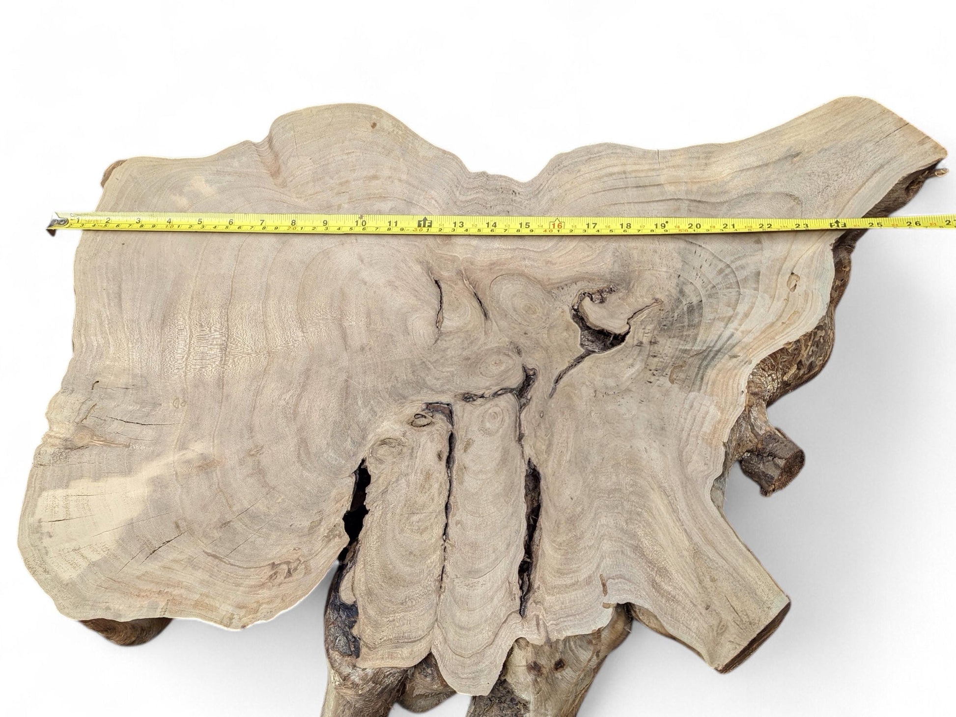 Irregular light brown walnut root slice displays prominent grain, deep cracks, and a yellow measuring tape.