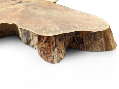 Angled view of an irregular English walnut root slice, showing light brown grain and textured dark live edge.