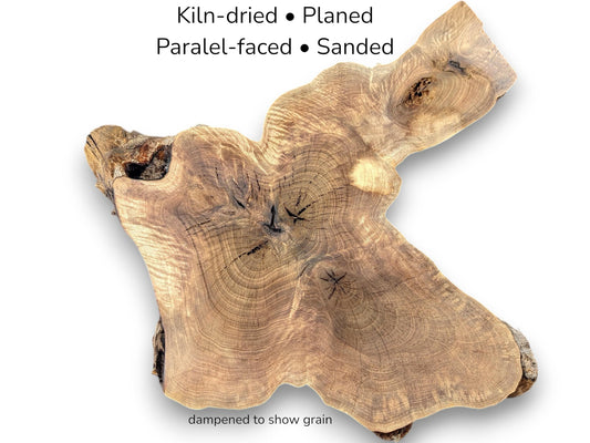 Image with text details showing irregular walnut root slice with prominent grain rings and dark knots.