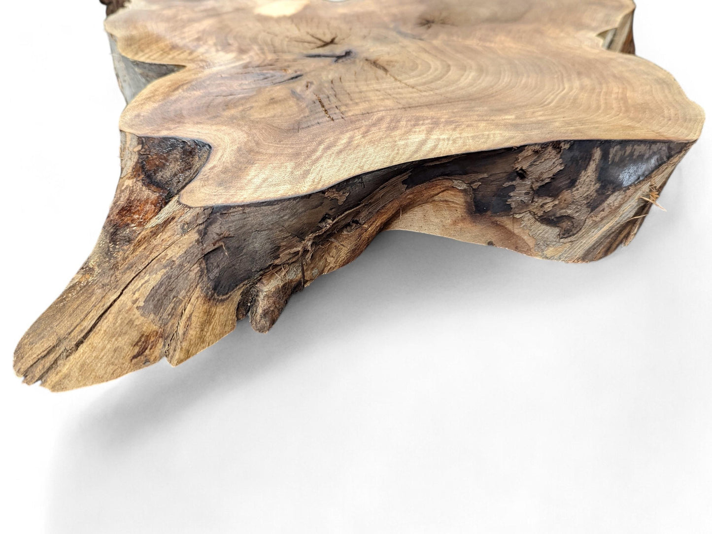Irregular light brown walnut root slice with prominent swirling grain, dark textured live edge, and cracks.