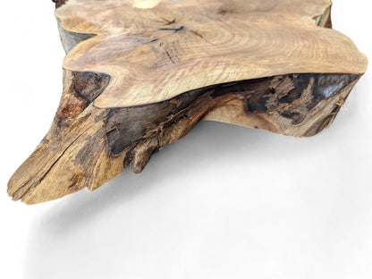 Irregular light brown walnut root slice with prominent swirling grain, dark textured live edge, and cracks.