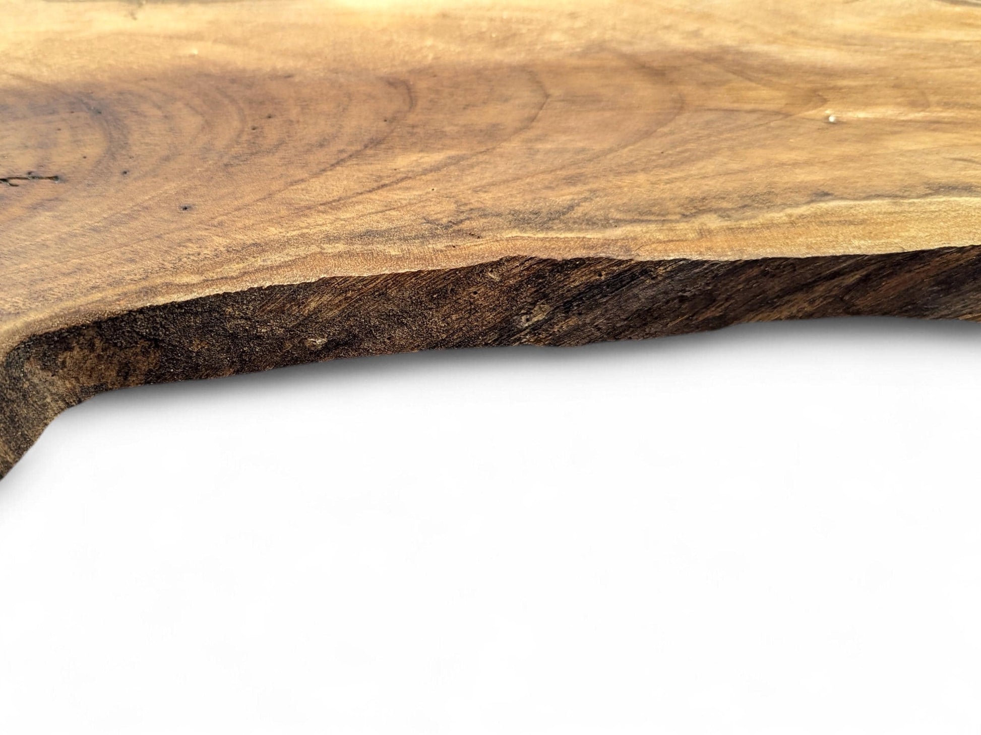 Light brown English walnut root wood slice, featuring a natural live edge and rough, dark bark.