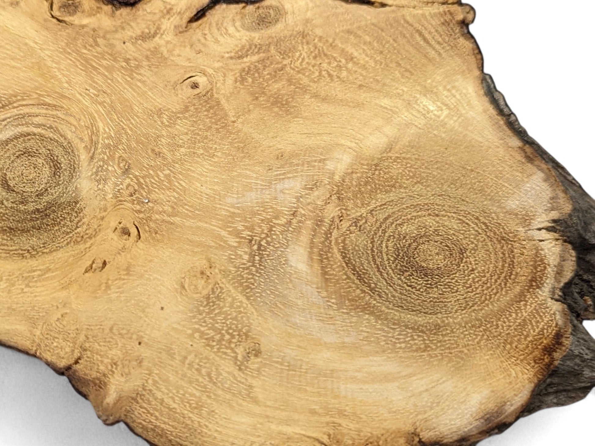 Light brown live edge wood slice, close-up, showing detailed, swirled grain patterns and dark knot inclusions.