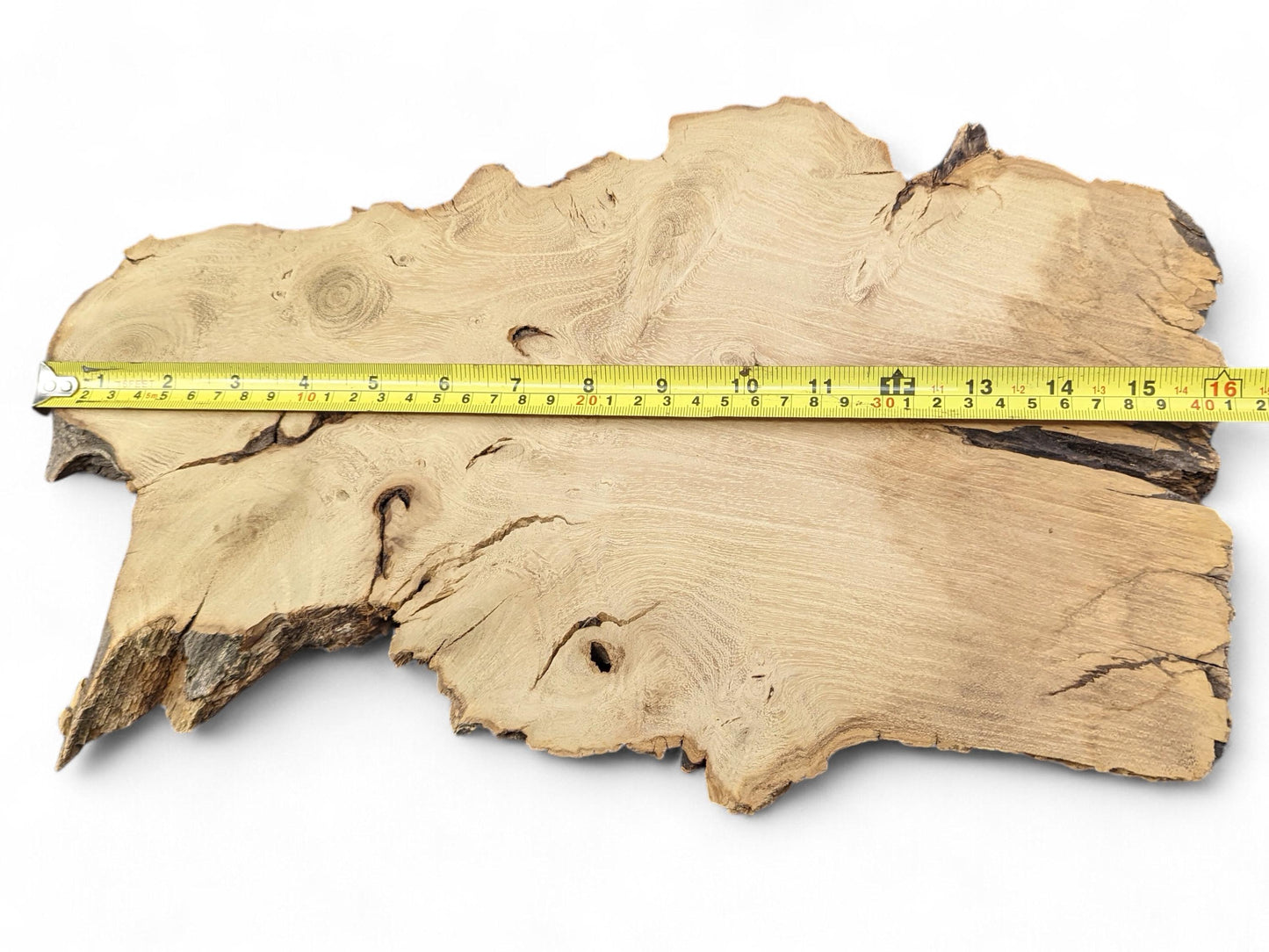 Irregular light brown wood slice with rough live edges, visible grain, and a measuring tape showing 16-inch width.