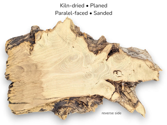 Pale, irregular wood root slice with rough bark edges and text identifying it as the reverse side.