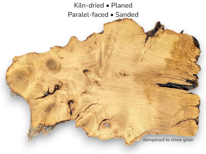 Golden-brown wood slice showing swirling grain and knots, with text detailing kiln-dried and sanded status.