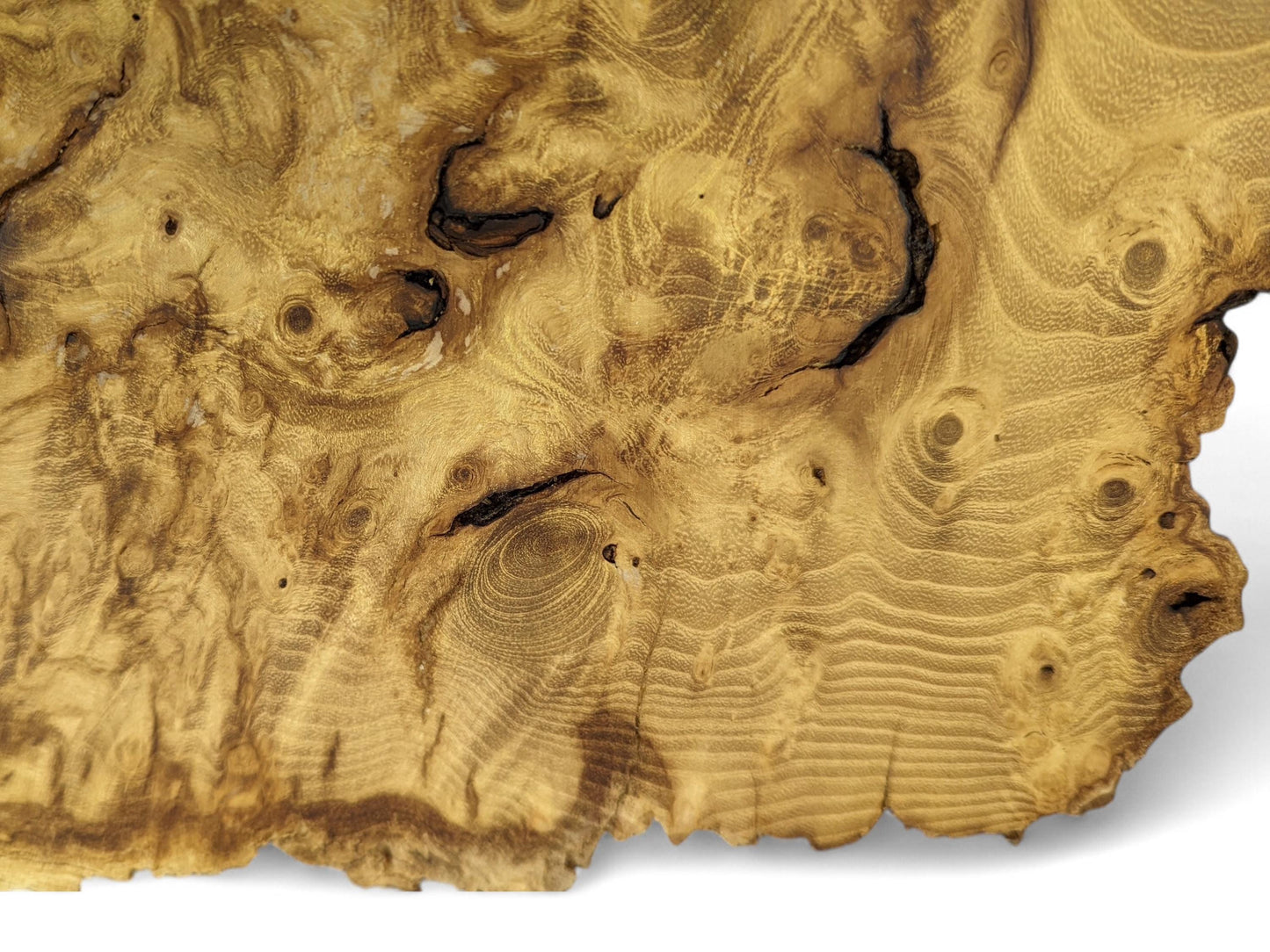 Detailed view of an irregular wood slice featuring light brown color, intricate grain, burls, and dark voids.